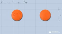 넬슨이부프로펜정200밀리그램(이부프로펜)