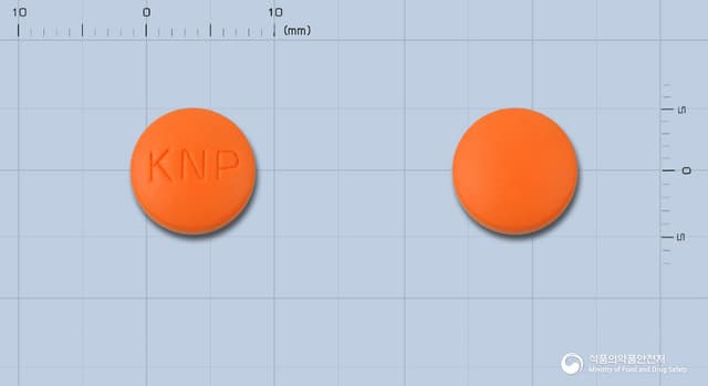 넬슨이부프로펜정200밀리그램(이부프로펜)
