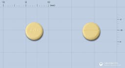 폴시드정(폴산)