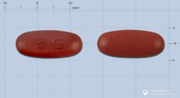 진셀몬에스이정