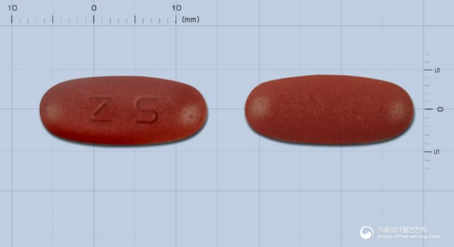 진셀몬에스이정