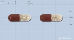 노자임캡슐10000(판크레아틴장용성제피미세정)