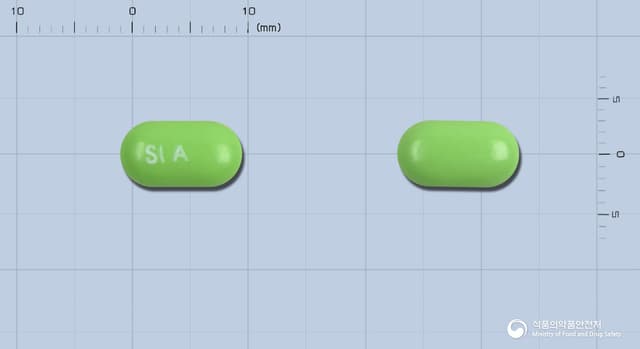 알레스탑-에스정