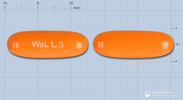 오스틴엘시스틴연질캡슐500밀리그램