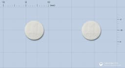 신일트리메부틴말레산염정