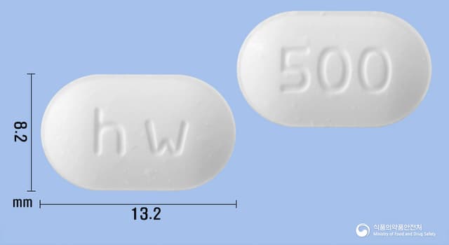 알리겔정(알마게이트)