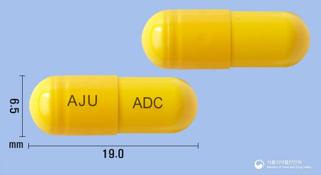 알두스캡슐(에르도스테인)