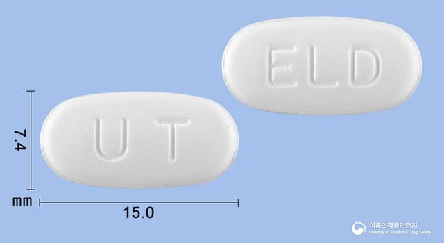 엘도테인정(에르도스테인)