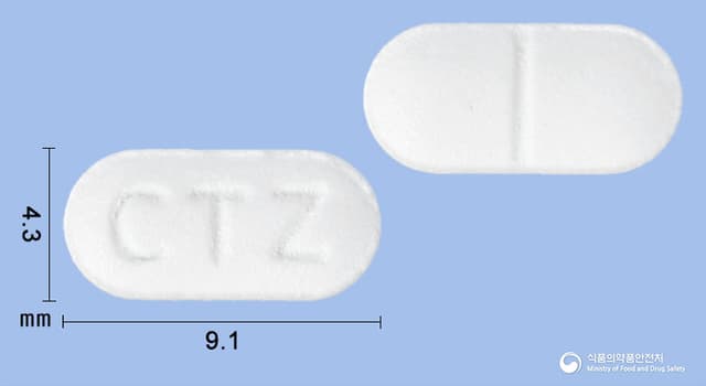 신일세티리진정(세티리진염산염)