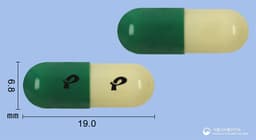 엘도스틴캡슐(에르도스테인)