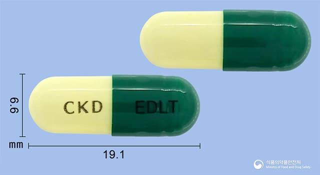 엘도란트캡슐(에르도스테인)
