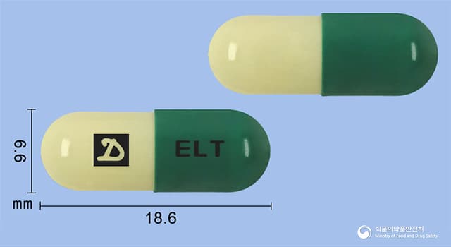 엘로틴캡슐(에르도스테인)