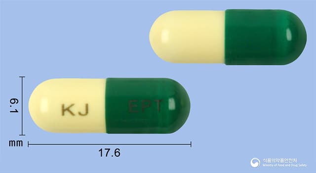 엘펙트캡슐(에르도스테인)