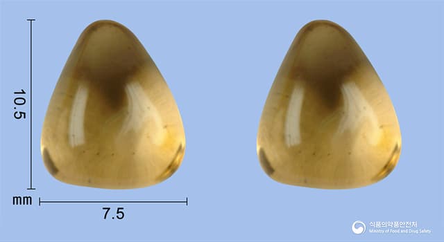 리치칼슘연질캡슐(알파칼시돌)